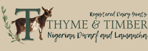 Thyme and Timber Nigerian Dwarf Dairy Goats